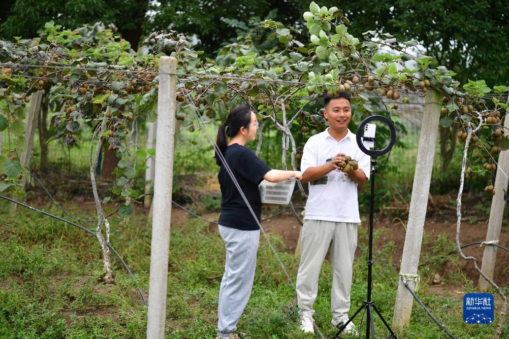 奔驰宝马游戏不输的玩法